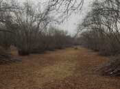 Продаётся  участок 44 сот, photo 3 from 5