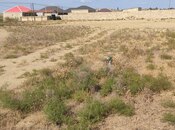 Satılır  torpaq 5 sot, Savalan q., photo 4 from 5