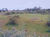 Объявление №5852744 - Ленкорань, Ленкорань, 12 сот