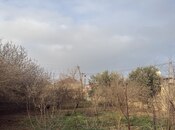 Продаётся  участок 10 сот, пос. Бина, photo 5 from 6