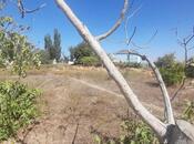 Satılır  torpaq 18 sot, Nardaran q., photo 7 from 8