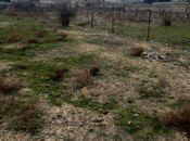 Объявление №5853299 - Баку, пос. Бина, 30 сот