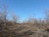 Продаётся  участок 20 сот, photo 2 from 3