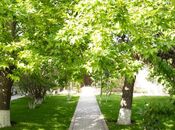 Продаётся 6-комн. дом/дача 450 м², пос. Бакиханова, photo 6 from 8