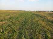 Объявление №5853665 - Тертер, Тертер, 2000 сот