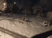 İcarəyə verilir 4 otaqlı həyət evi/bağ evi 110 m², photo 3 from 8