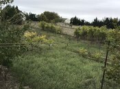 Продаётся  участок 40 сот, пос. Пиршаги, photo 5 from 6