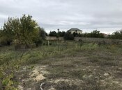 Продаётся  участок 40 сот, пос. Пиршаги, photo 6 from 6