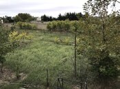 Продаётся  участок 40 сот, пос. Пиршаги, photo 3 from 6