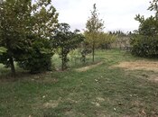 Объявление №5853829 - Баку, пос. Пиршаги, 40 сот