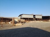 Satılır  torpaq 12 sot, photo 4 from 8