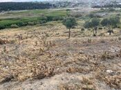 Satılır  torpaq 322 sot, Pirəkəşkül q., photo 3 from 4