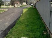 Elan №5854119 - Masallı, Masallı, 4.2 sot