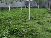 Продаётся  участок 4.2 сот, photo 2 from 4