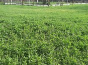 Продаётся  участок 4.2 сот, photo 4 from 4