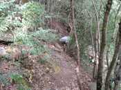 Продаётся  объект 1 200 м², photo 7 from 8