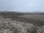 Satılır  torpaq 506 sot, Pirəkəşkül q., photo 7 from 8