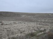 Elan №5854537 - Bakı, Pirəkəşkül q., 506 sot