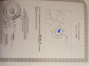 Satılır  torpaq 506 sot, Pirəkəşkül q., photo 8 from 8