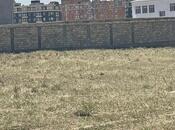 Продаётся  участок 300 сот, Абшеронcкий  р., photo 2 from 3