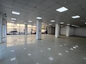 Объявление №5854521 - Баку, пос. Шувеляны, 1300 м²