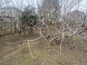 Продаётся  участок 6 сот, пос. Сарай, photo 7 from 8