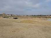 Продаётся  участок 300 сот, пос. Маштаги, photo 3 from 8