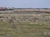 Продаётся  участок 300 сот, пос. Маштаги, photo 8 from 8