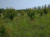 Satılır  torpaq 241 sot, Xaçmaz r., photo 2 from 8