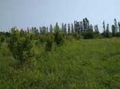 Satılır  torpaq 241 sot, Xaçmaz r., photo 7 from 8