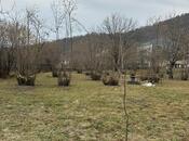 Satılır  torpaq 8 sot, photo 3 from 5