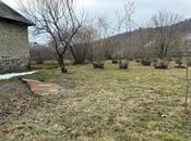 Elan №5855895 - Qəbələ, Qəbələ, 8 sot