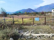 Elan №5856296 - Şəki, Şəki, 25 sot