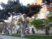 Elan №5856574 - Bakı, Nəriman Nərimanov m., 2 otaqlı, 43 m², 4/4 mərtəbə