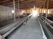 Продаётся 2-комн. дом/дача 54 м², photo 4 from 8