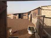 Продаётся 2-комн. дом/дача 54 м², photo 5 from 8