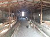 Продаётся 2-комн. дом/дача 54 м², photo 3 from 8