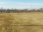 Elan №5856683 - Şəki, Şəki, 24 sot