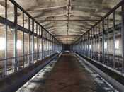 Satılır  obyekt 66 m², photo 2 from 8