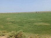 Satılır  torpaq 10 000 sot, photo 2 from 3