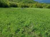 Продаётся  участок 277 сот, photo 6 from 7