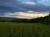 Продаётся  участок 277 сот, photo 4 from 7