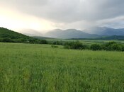 Продаётся  участок 277 сот, photo 3 from 7