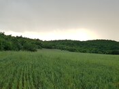 Продаётся  участок 277 сот, photo 7 from 7