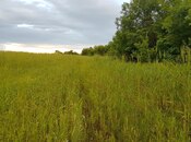 Продаётся  участок 277 сот, photo 5 from 7