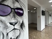 İcarəyə verilir  obyekt 50 m², Nəsimi r., photo 5 from 8