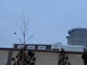 Satılır  obyekt 65 m², NZS q., photo 6 from 8