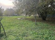 Elan №5857159 - Qəbələ, Qəbələ, 10 sot