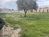 Satılır  torpaq 10 sot, Albalılıq q., photo 8 from 8