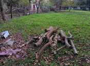 Elan №5857384 - Qəbələ, Qəbələ, 12 sot